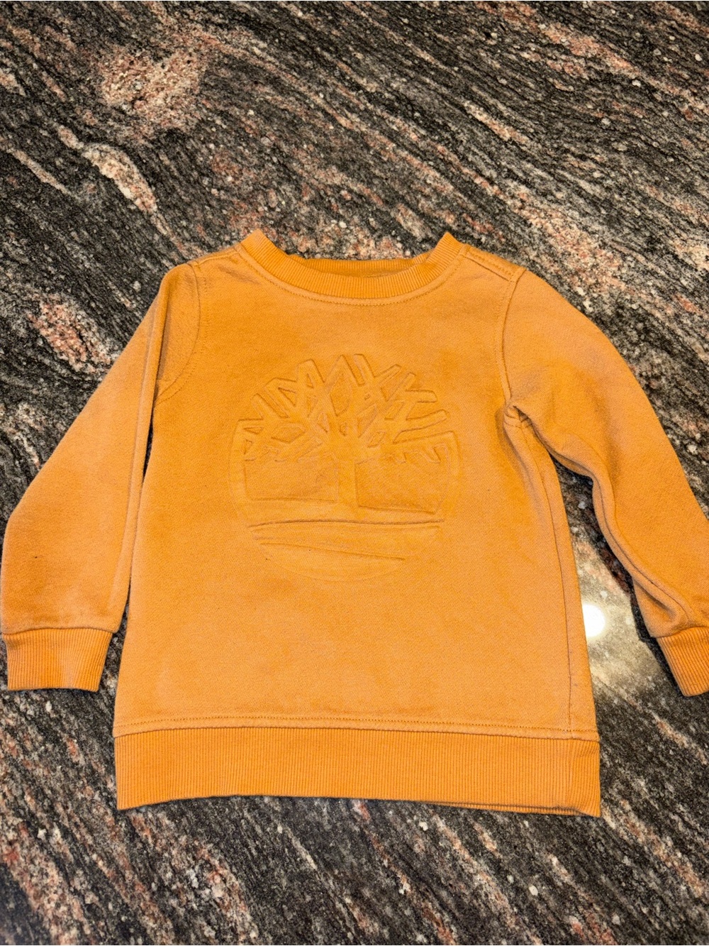 Timberland Kids Orange Pullover Sweatshirt with Embossed Tree